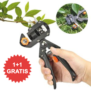 MATERCUT_1
