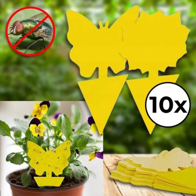 Lepkavé pasce na muchy (10 ks) | BUGILURE