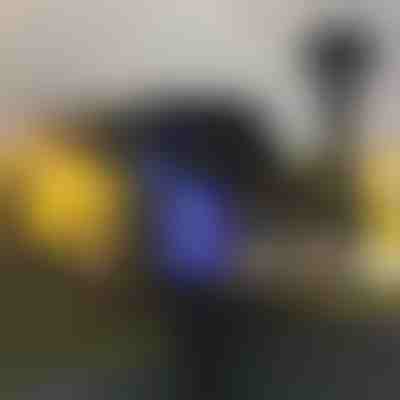 Vonkajšia lampa proti komárom (2 ks) | SOLARBUZZ