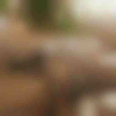 Magnetický lepiaci organizér káblov | CABLIP