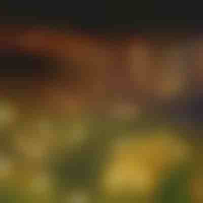 Solárna svetelná reťaz so 6 LED žiarovkami | SOMPEX